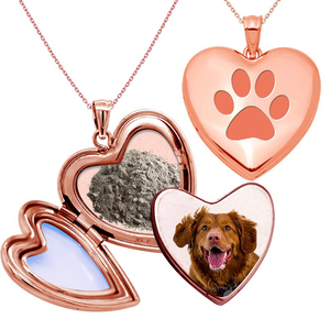 Dog Paw Print Cremation   Hair Photo Locket